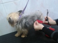 /album/fotogaleria/vnv-2013-03-19-13-26-52-jpg/